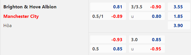 Tỷ lệ kèo giữa Brighton vs Man City
