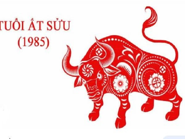 Vận niên 2024 tuổi Ất Sửu 1985