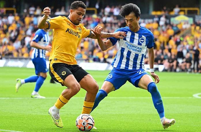 Nhận định châu Á Wolves vs Brighton, 2h45 ngày 29/2